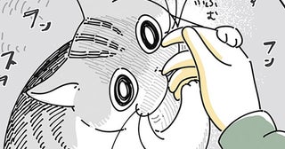 なでなでをかわして入念に匂いを嗅ぐネコ。飼い主の手が気になるんですか？