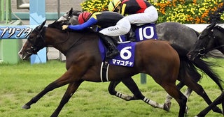 【競馬予想】スプリンターズＳはスターアニスが最有力一発あるなら名手が華麗に導く古豪牝馬