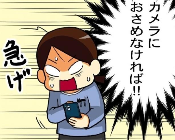 【ねこ漫画】「今だ！」→猫、なぜ動く(涙)!?猫の“シャッターチャンス難しい問題”が根深い【作者に訊く】