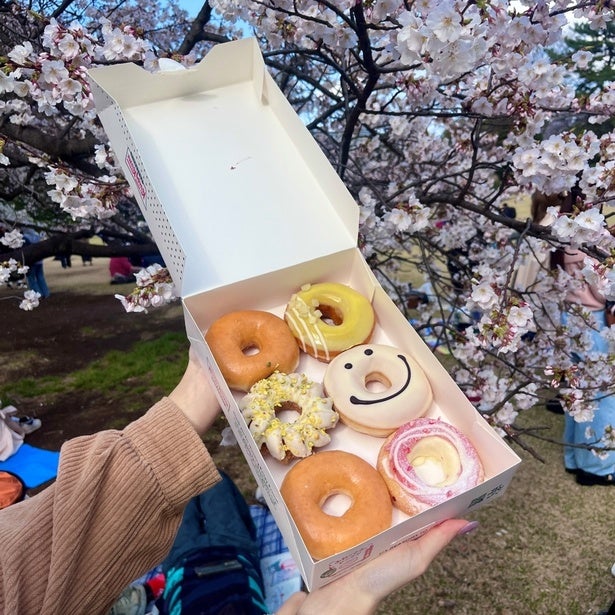 出前館の「お店価格」を利用して“手ぶらピクニック”を楽しもう！今だけ送料無料キャンペーンも