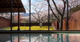 星野リゾートの温泉旅館「界 鬼怒川」にて、美しい桜と温泉に癒やされる「花見温泉滞在」開催。夜は春の会席と栃木の地酒のペアリングを楽しめる