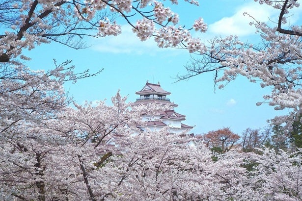今週末に見頃の桜が楽しめそうな全国のお花見名所(4月11日・12日)