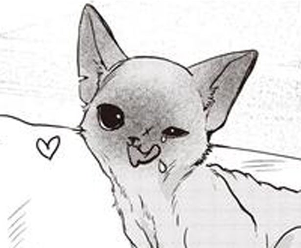 子猫への投薬。直接口に入れるのも、エサに混ぜるのもダメなら…頼ったのはアレ！／スローステップ朔太郎 上（10）