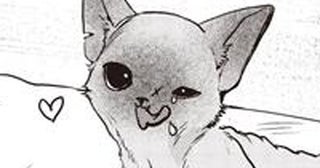 子猫への投薬。直接口に入れるのも、エサに混ぜるのもダメなら…頼ったのはアレ！／スローステップ朔太郎 上（10）