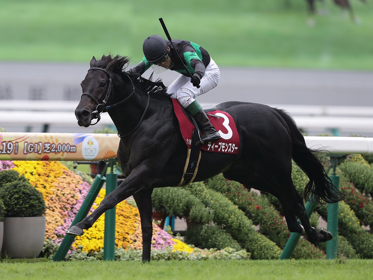 【競馬予想】上位混戦のジャパンカップ人気馬の間隙を突く可能性がある穴馬候補は２頭いる