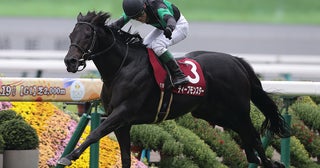 【競馬予想】上位混戦のジャパンカップ人気馬の間隙を突く可能性がある穴馬候補は２頭いる