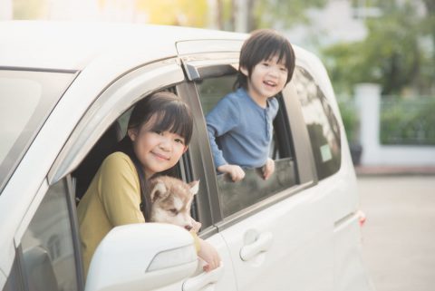 子どもが大きくなり「フィット」では手狭になってきました。「ステップワゴン」に乗り換えたいのですが、“維持費”はどれほど差が出ますか？ 今は30万円ほどです