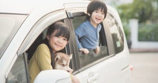 子どもが大きくなり「フィット」では手狭になってきました。「ステップワゴン」に乗り換えたいのですが、“維持費”はどれほど差が出ますか？ 今は30万円ほどです