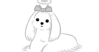 犬が大好きになるきっかけをくれた「はじまりの犬」、海。/犬からの手紙が教えてくれたこと（1）