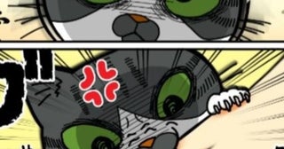 【猫マンガ】気の強い子猫がまさかの激オコ倍返し!!クセ強な人間の変わった愛情表現に「やられたらやり返す!!」【作者に聞く】