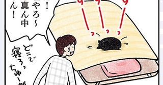 嘘でしょ、ど真ん中!? 布団の上で寝る場所を定めた猫に困る飼い主