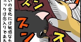 大好きなロングスカート→風でウンチ接触＆犬の「カーテン扱い」で毛だらけの悲劇【作者に聞く】