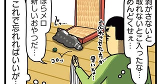 手の届かないおやつにご執心！ 飼い主の誤魔化しも無駄なようで