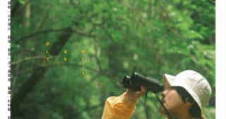 サンパウロ国際映画祭新人監督部門正式出品『鳥を導く』10.31公開＆予告解禁俳優自身が“音楽”と“手話”を体得