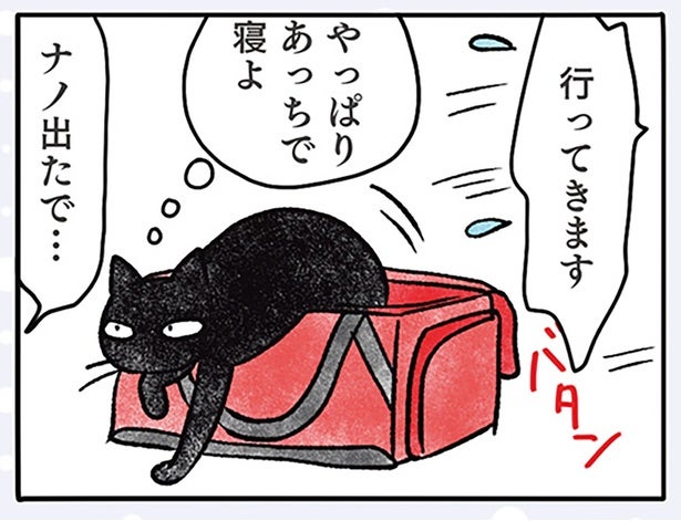 今日使いたいのに！ 飼い主のカバンに入り込んだ猫が全然出たがらないんです