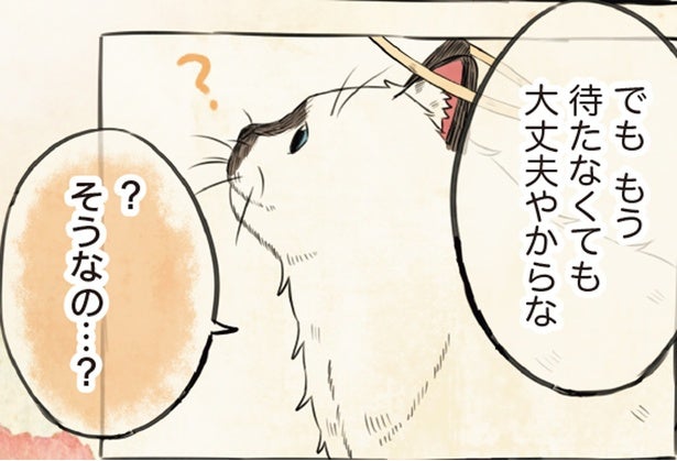 最期まで呼ばれていた「名前」だったけど。天国で飼い主と再会して改名した理由に涙