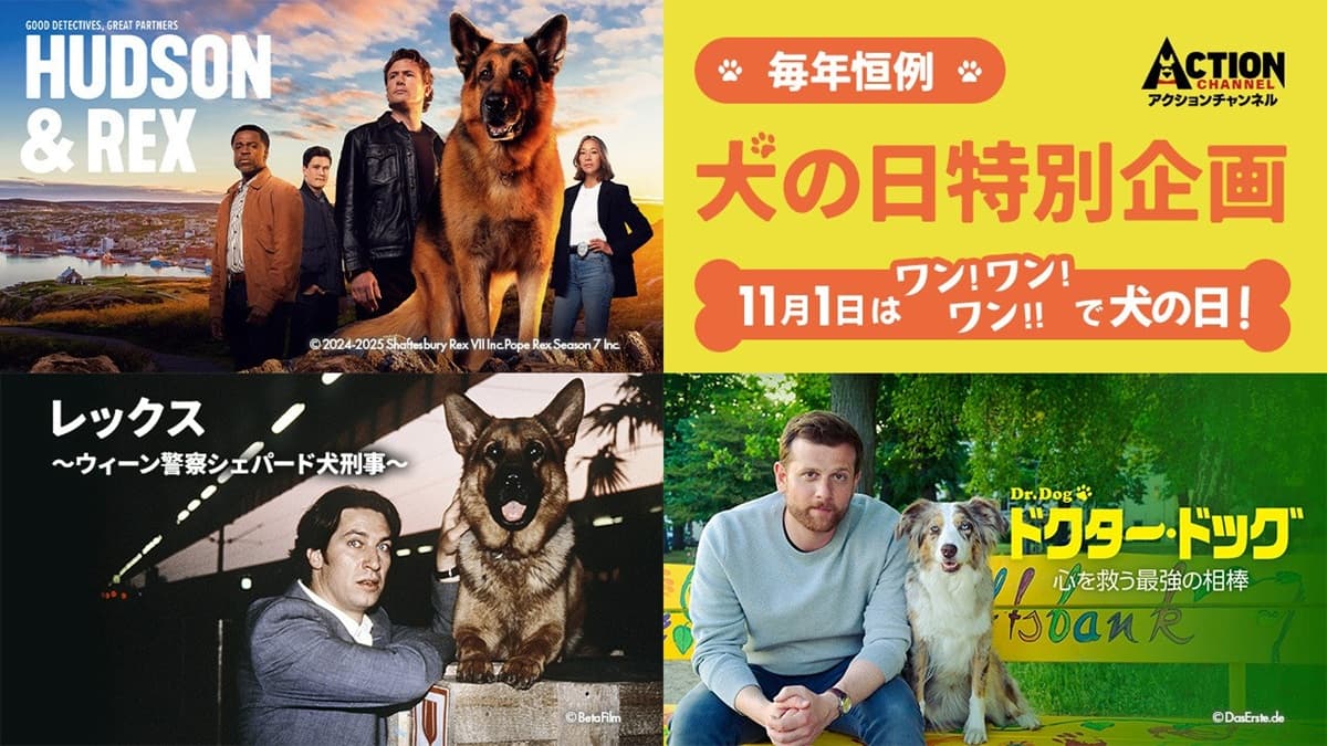 「犬の日」はワンコドラマ祭り！『毎年恒例！犬の日特別企画』11月1日（土）10：00放送スタート