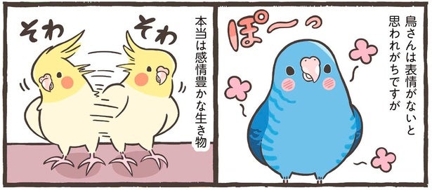 嬉しい、寂しい、甘えたい！ 鳥は気持ちを全身で表現する感情豊かな生き物