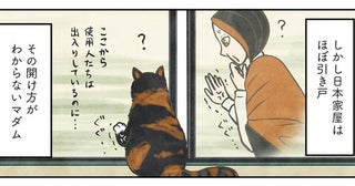ポーランド生まれのマダム猫、不慣れな引き戸を開ける必殺技