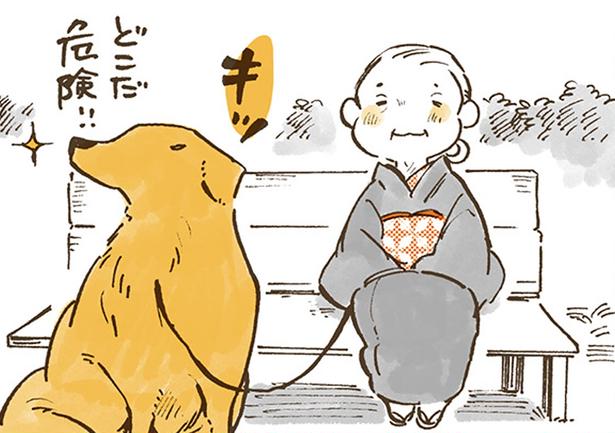 寄り道も休憩も楽しみながら。おばあちゃんとレトリバーの春の1日