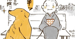寄り道も休憩も楽しみながら。おばあちゃんとレトリバーの春の1日