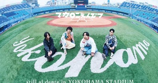 マカロニえんぴつ、デビュー10周年イヤーに横浜スタジアム2デイズワンマンを開催