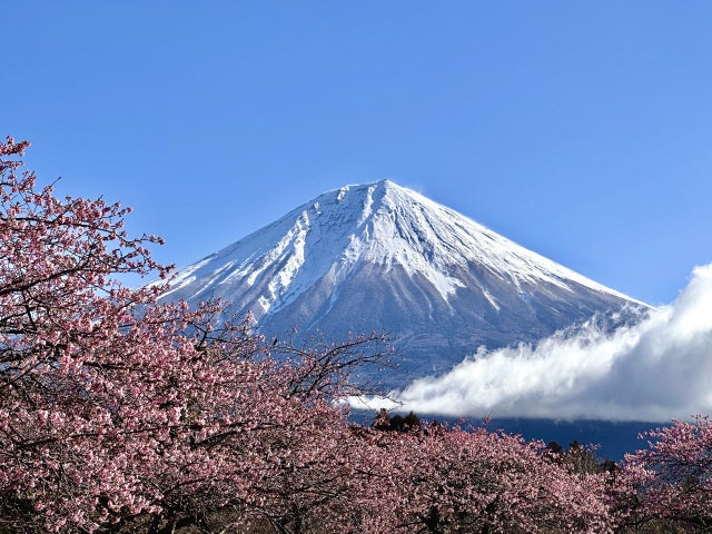 「富士山は“日の入り30分前”が最高!?」「山頂のカップラーメンは格別…？」リスナーが語る「富士山」体験記
