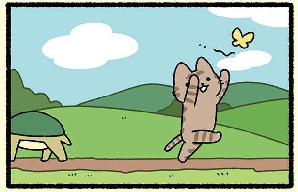 【うさぎとカメとねこ】競争とは一体？ スタートしても自由すぎるねこ
