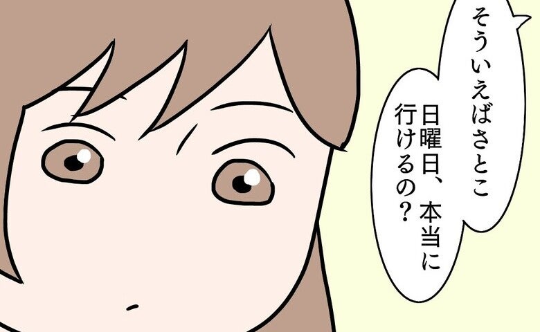 「本当に行けるの？」病気と授乳の不安。結婚式直前の迷いと決断＜第2子妊娠中に不整脈＞
