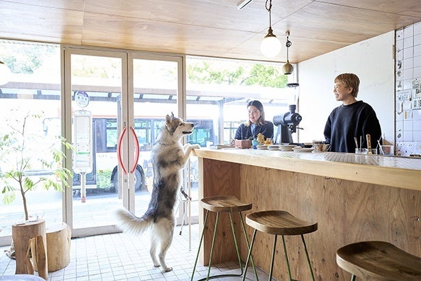 コーヒーで旅する日本／関西編｜確かな技術と朗らかな接客が醸し出す、親しみに満ちた憩いの時間。「SUNDAE」