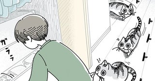 クローゼットの探し物中、とてとてと近づくネコ。静かに始まる攻防の話