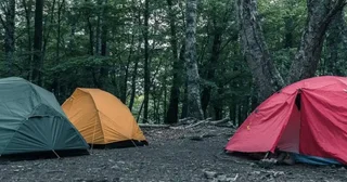 北海道の公園で野宿していたら、子供達に騒がれた。一人の親に事情を聞かれて話をすると...（愛知県・40代男性）