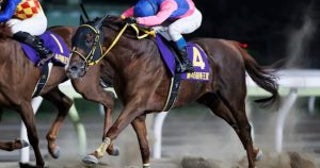 ＜チャンピオンズC＞3歳勢が断然人気も「危険な人気馬」が多すぎる理由…武豊×メイショウハリオの大駆けに期待できるか