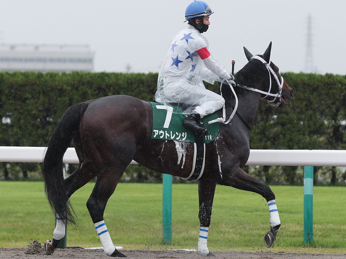 【競馬予想】「荒れる」チャンピオンズカップ舞台合う実力馬２頭でビッグボーナスをゲットせよ