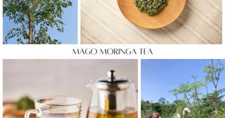 スーパーフード「モリンガ」を使用！「MAGO MORINGA TEA」が新登場