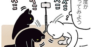 飼い主のおじぎに合わせる黒猫ろん。自撮りカメラで確かめてみた！