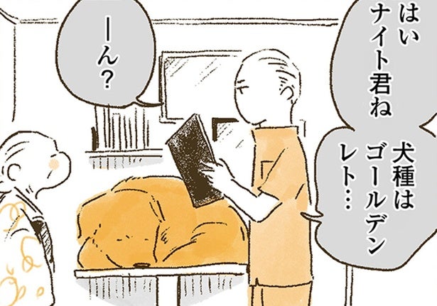 犬種欄にまさかのひと言！おばあちゃんが書いたレトリバーの問診票