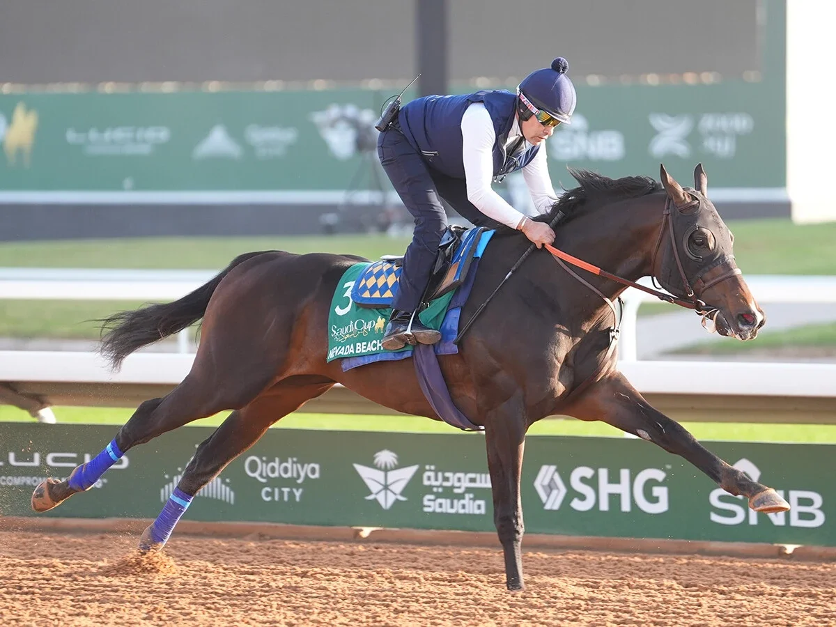 【競馬予想】サウジカップに臨む絶対王者フォーエバーヤングを脅かす存在はいるか？気になる人気薄２頭