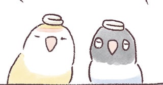 普段はほぼ無臭のインコたち。でもいろんな香りになることもあるようで…？／うちのインコたちは今日もおしゃべり（19）