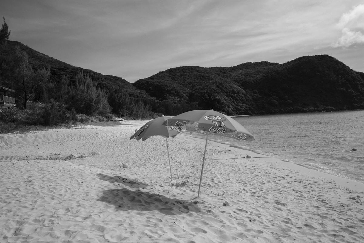 写真家・上原沙也加の個展が横浜市民ギャラリーあざみ野で開催過去10年で発表してきた4シリーズの作品が一堂に