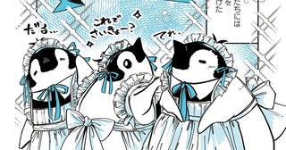 可愛さが最強すぎる！ ペンギンたちにメイド服を作って着せてみたら