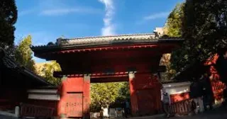 中国人に買われる日本の学歴。「東大合格保証8000万円」不正入学を手配する学歴ブローカーが暗躍