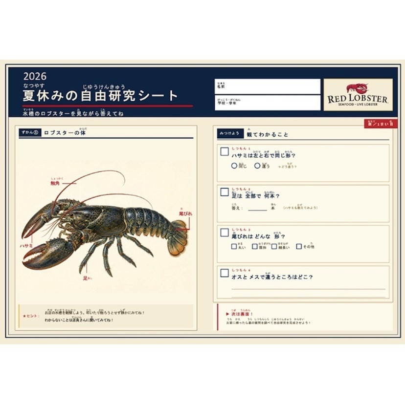 8/1〜31限定、外食しながら自由研究のヒントも。レッドロブスターの新企画