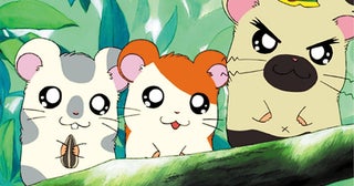 【とっとこハム太郎】アニメ放送25周年、ABEMAで毎日ハム太郎！