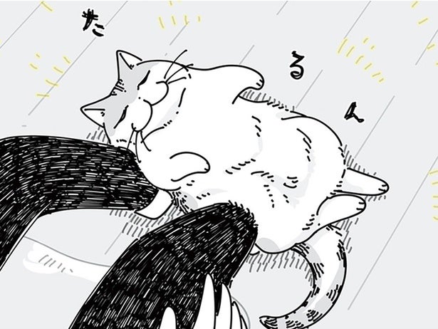 ああ、スマホを手にしておけばよかった！ 絶対に撮影したい姿を見せる猫