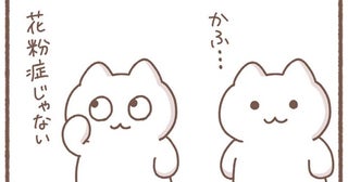 気のせいだと思いたい！花粉症だと認めてしまったら終わり？