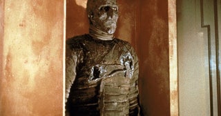 初期作『ミイラ再生』、イメージを一新した「ハムナプトラ」、ホラーへの回帰作『THE MUMMY ／ ザ・マミー 棺の中の少女』などなど！ミイラ映画の歴史と意義を掘り起こす