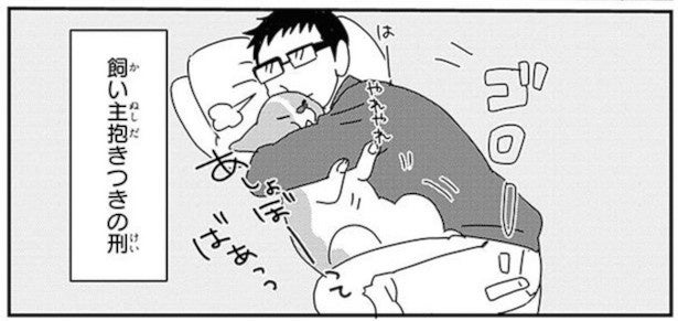 罪深いかわいさ！愛くるしいコーギーに飼い主さんから抱きつきの刑