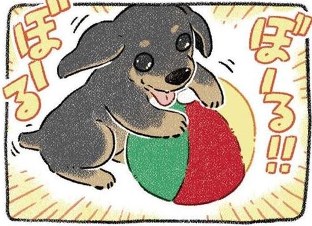 「犬なんて飼えない」病気で引きこもりの日々→大型犬2匹との暮らしで訪れた驚愕の結末【作者に聞く】