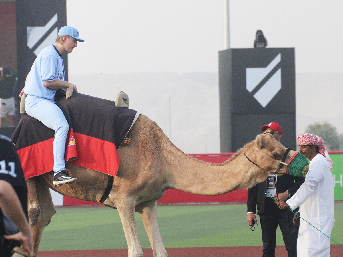 中東初のプロ野球リーグが描く奇想天外な新たな野球ラクダで入場、マネーボール、ファイアーボール...